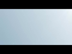 εισαγωγή του εμπορικού σήματος