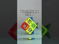 Μαγνητικά πλακάκια με ευέλικτα σχήματα για ζώα και φυτά Τροπικά ψάρια